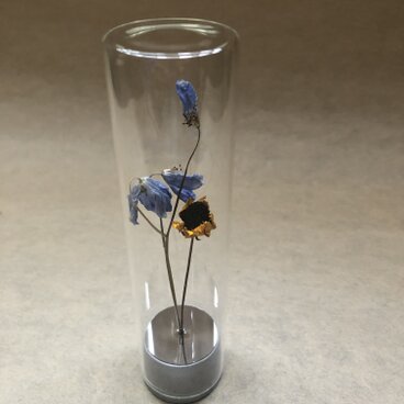 一本の森　dry flower