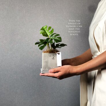 《人気No.1モンステラ》新作 正方形陶器  フェイクグリーン  造花 アーティフィシャル