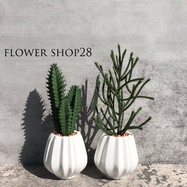 【フェイクグリーン】ミニ観葉植物 サボテン　多肉植物　　 造花