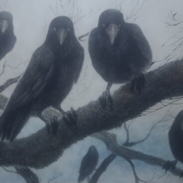 《カラスの涙》/While The Crow Weeps オリジナルアニメーション作品