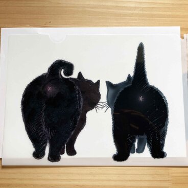 クロニャンコ：猫のクリアファイル：A4サイズ