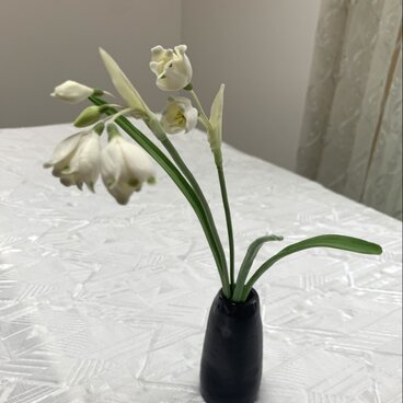 クレイの花(粘土).スノーフレイク(花器なし)