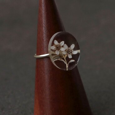 Oxypetalum ring