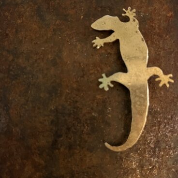 ヤモリ02