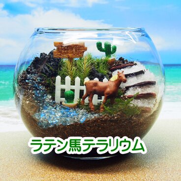 苔テラリウム・手作りキット一式】馬とサボテン