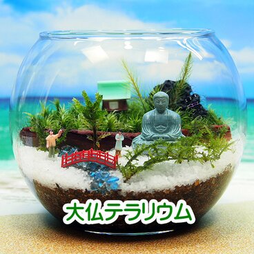 鎌倉大仏【苔テラリウム・手作りキット一式】