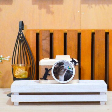 猫好きの方へ向けて！あなたの愛猫のベストショットを飾りませんか？（ベージュ）