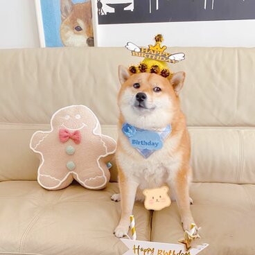 オーダーメイド　刺繍お誕生日バンダナ（お名前入れ）　  愛犬・愛猫グッズ うちの子グッズ