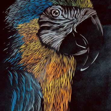 額装済み切り絵作品・オウム