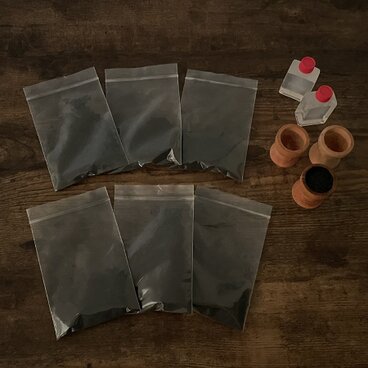 盛り炭塩（一年分）