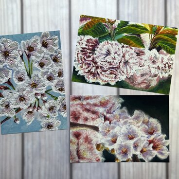 桜のポストカード　桜三部作　３枚セット　