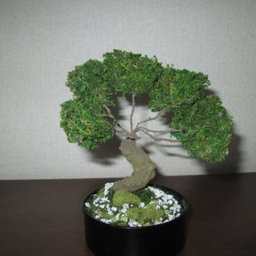 アートミニ盆栽　★消臭効果あり★