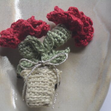 カーネーションの植木鉢