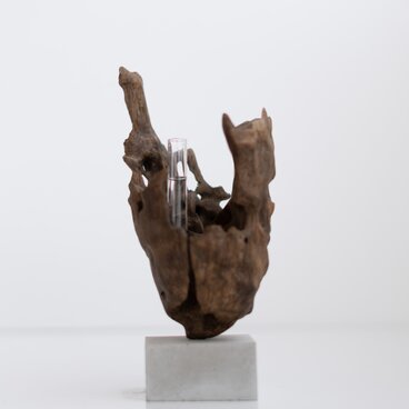 世界にたったひとつあなただけの流木一輪挿し | ookina tamago no.2 (M size)