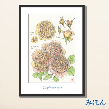 お好きな植物を、博物画風の植物画で御描きします。　B4サイズ簡易額入り（別途で普通の額にも変えられます）