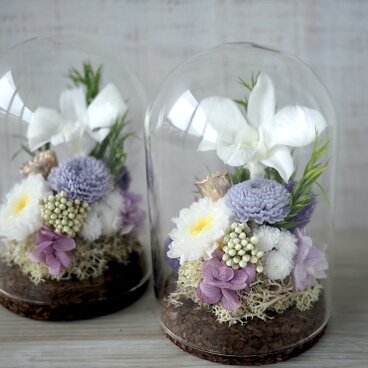 お供え花 ガラスドーム   -デンファレ パープル-