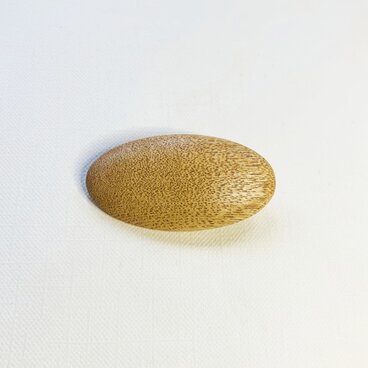 ブローチ -ムクロジ楕円-