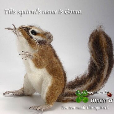 【展示品】シマリスごん太が大騒ぎ！【あなたの可愛いペットの雑貨作ります。