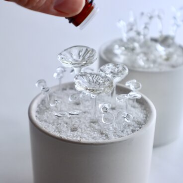 【『天然生活』『ESSE』『美人百花』掲載】ガラスの双葉とディフューザーの鉢植え