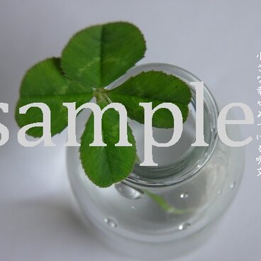 言葉*『小さな幸せみつける呪文。』2枚組み