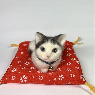 白黒さん　ヅラ猫