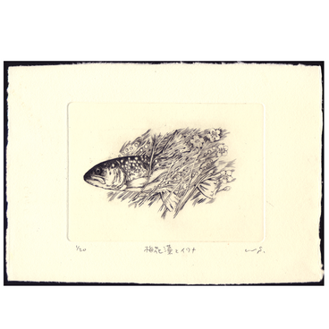 銅版画「梅花藻とイワナ」