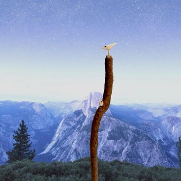 カップルの小鳥 小枝ペン