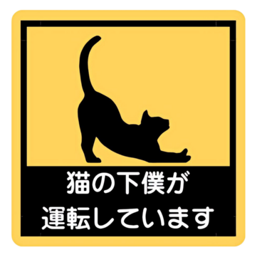 猫の下僕が運転しています