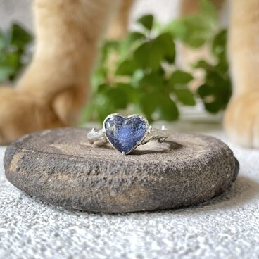 ハート♡カボのデュモルチェ