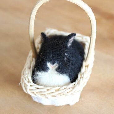 カゴ入り羊毛うさbaby♡ネザーちゃん