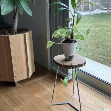 【楓の木と鉄の異素材ミックス】プランタースタンド