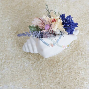 クマノミのお家 anemonefish's home ★ 巻貝