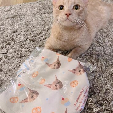 世界に一つだけのバケツ型トートバッグ　 愛犬・愛猫・動物・ペット・ウサギ・ハムスター・鳥