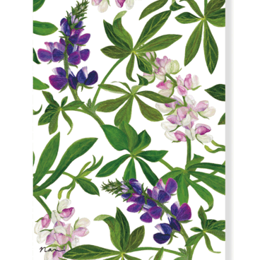 グリーティングカード　ルピナス