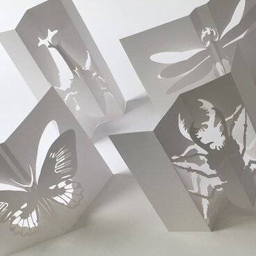 立体ぬりえ (昆虫6種)