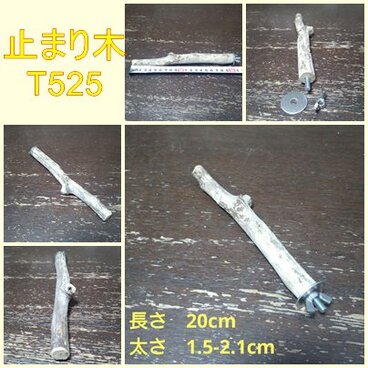 止まり木（枝：TOY-08-015）T525