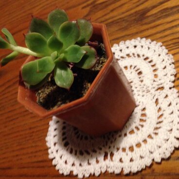 アンティーク風 手編み レース コースター ホワイト