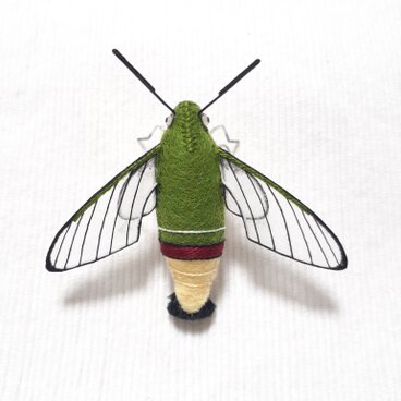 オオスカシバのぬいぐるみ