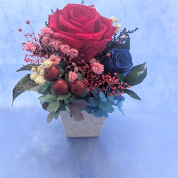 プリザーブドフラワー／大輪の赤い薔薇と青い薔薇の白い花器アレンジ／フラワーケースリボンラッピング付き