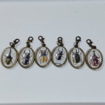 カブトムシチャーム　６個セット