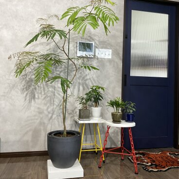 Mサイズ キャスター付き プランタースタンド プランター台 観葉植物