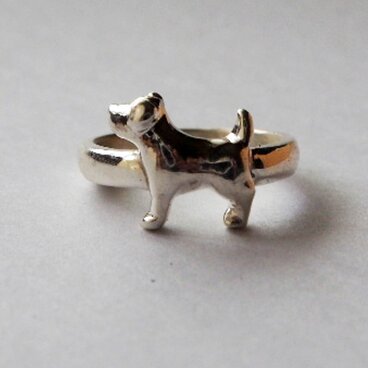 ジャックラッセルテリアR