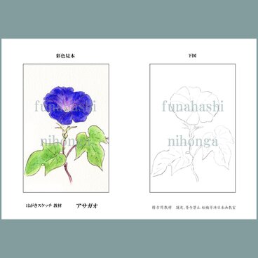 ハガキにスケッチしましょう　アサガオ