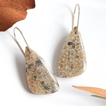 14kgf｜化石が描いた花模様｜フォッシルコーラル（化石珊瑚）のピアス