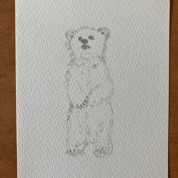 ホッキョクグマ ドローイング