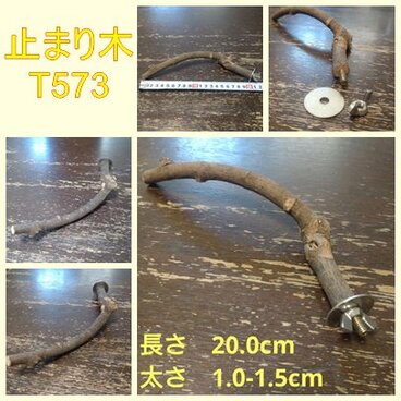 止まり木（枝：TOY-08-015）T573