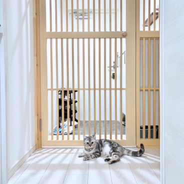 ネコちゃん用 脱走防止ドア