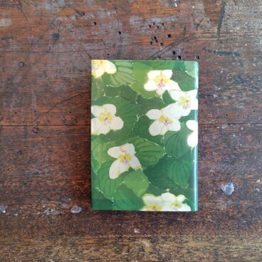 絵本なブックカバー『シレトコスミレ』