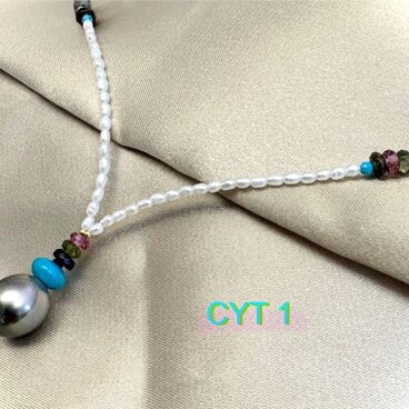 CYT 1（シーワイティー１）