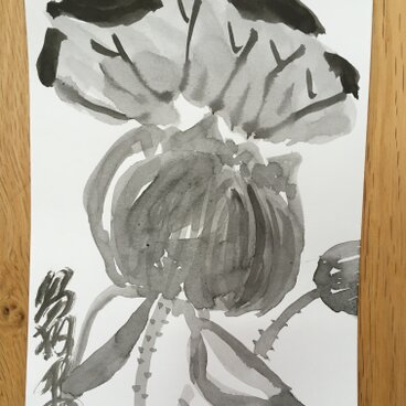 ポストカード 水墨　蓮